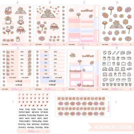 Daisy blooms | Choose a kit