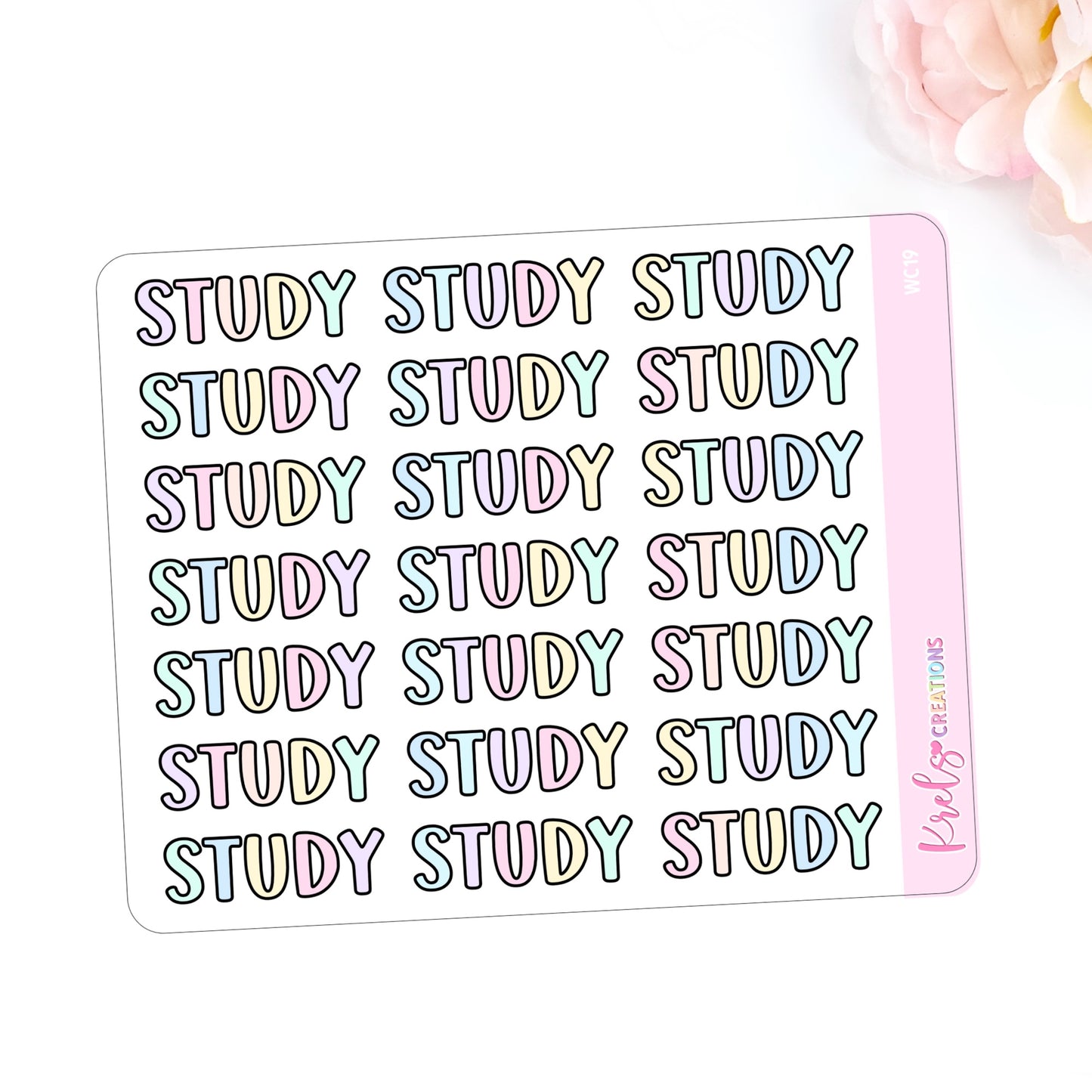 WC19 | Study