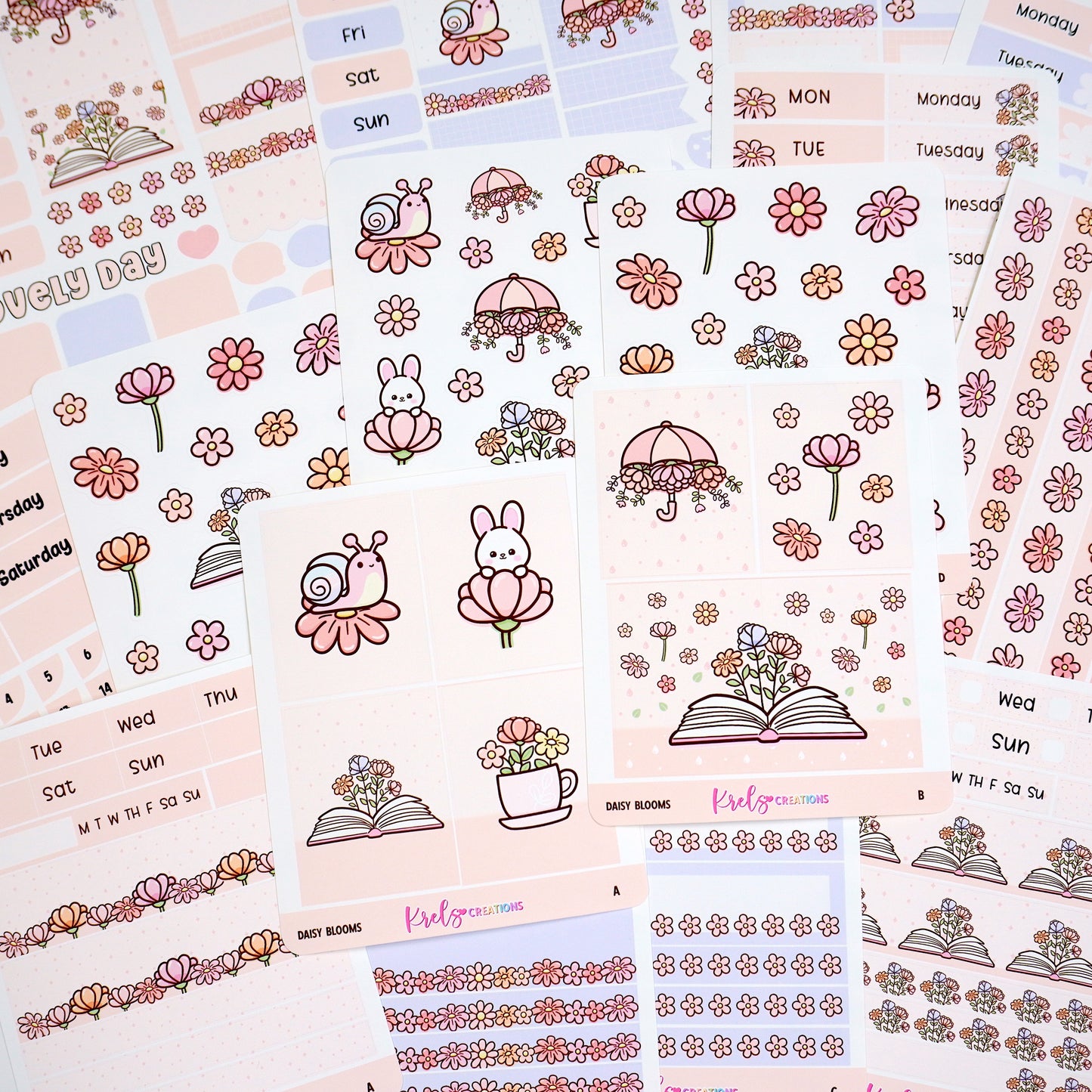 Daisy blooms | Choose a kit