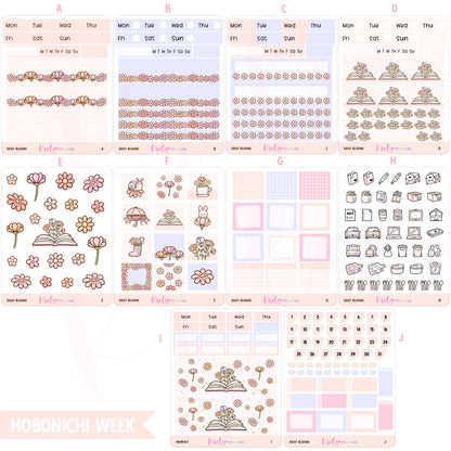 Daisy blooms | Choose a kit